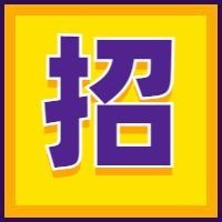 招字撞色通用招聘次图预览效果