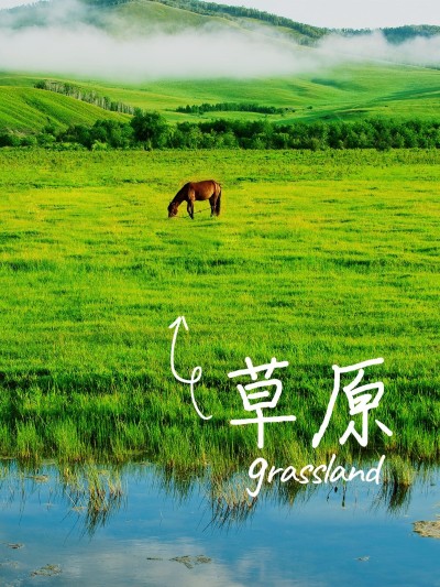 风景晒照旅游记录简约风plog模板