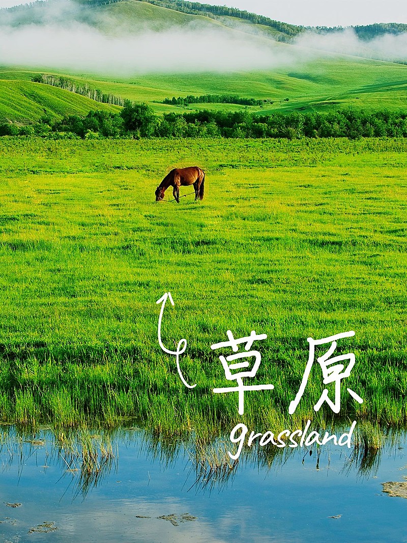 风景晒照旅游记录简约风plog模板