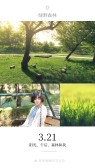 模板缩略图