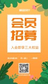 模板缩略图