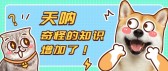 模板缩略图