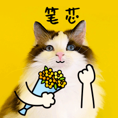 比心笔芯表白爱情猫咪宠物GIF动图萌宠表情包预览效果
