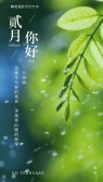 模板缩略图
