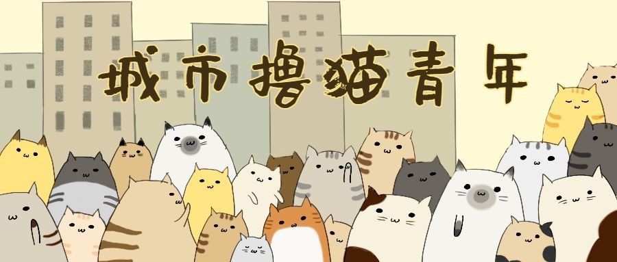 铲屎官宠物城市撸猫青年首图预览效果