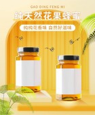 模板缩略图