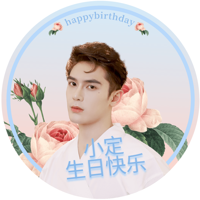 唯美粉明星生日应援微信头像预览效果
