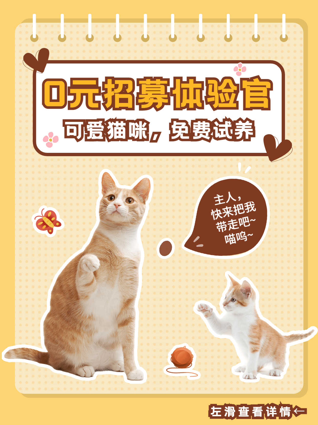 可爱萌宠猫活动公告小红书封面配图预览效果