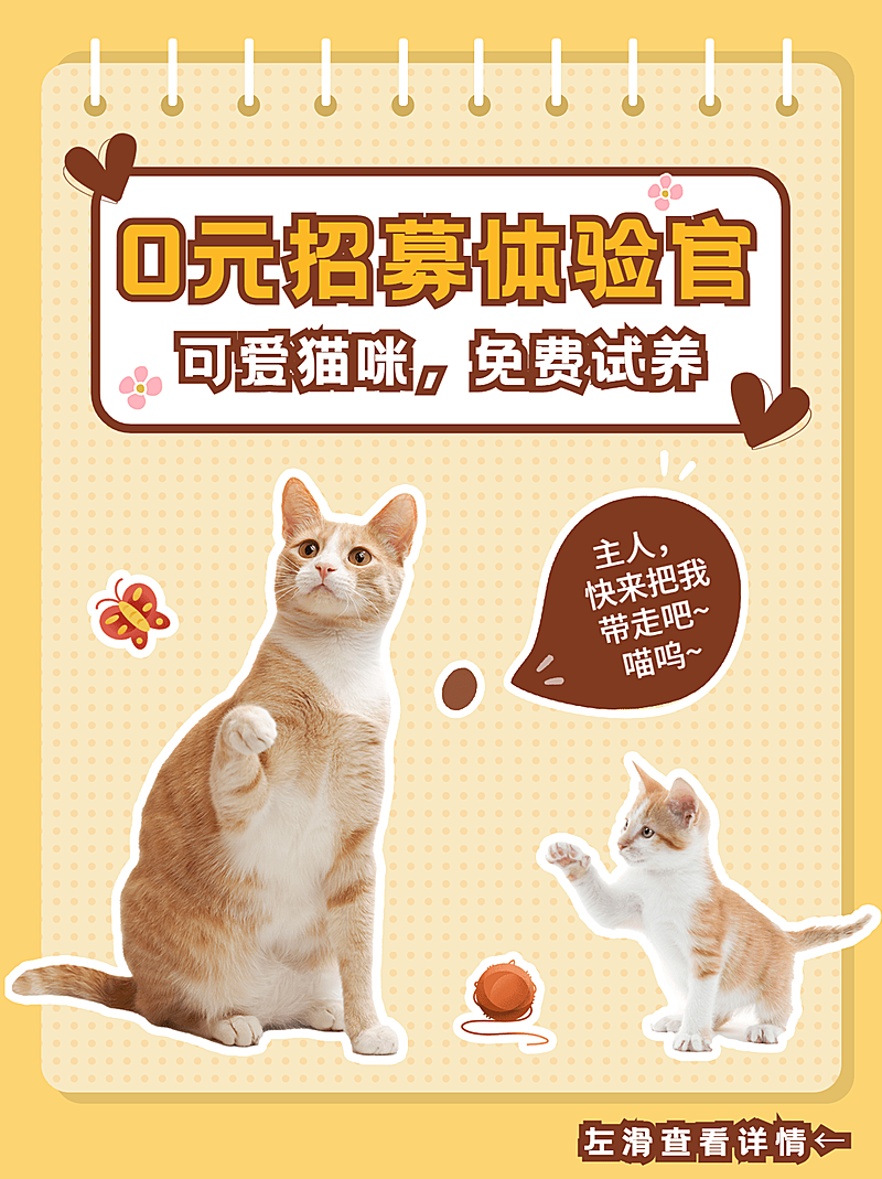 可爱萌宠猫活动公告小红书封面配图