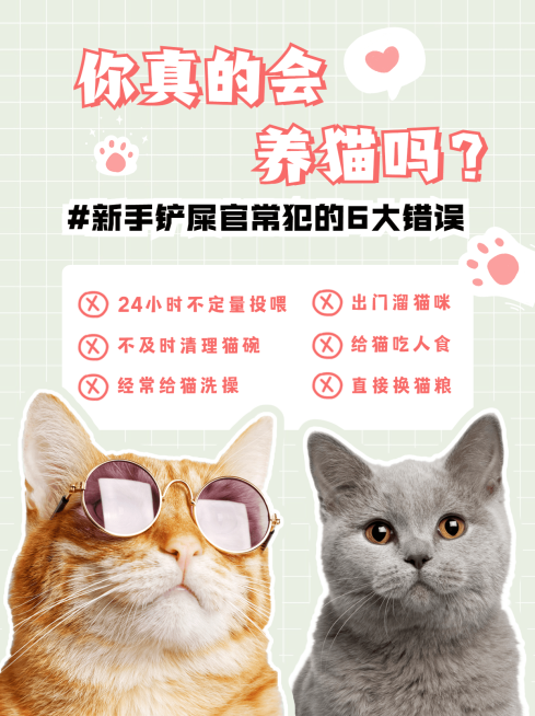 宠物喂养知识科普猫小红书封面配图预览效果