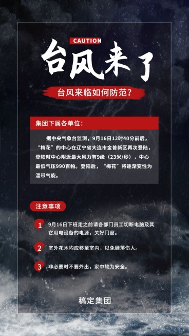 台风来了黑色手机海报预览效果