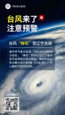 模板缩略图