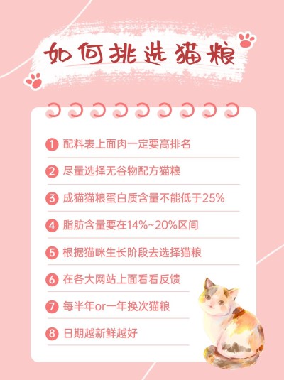 手帐风萌宠攻略小红书配图