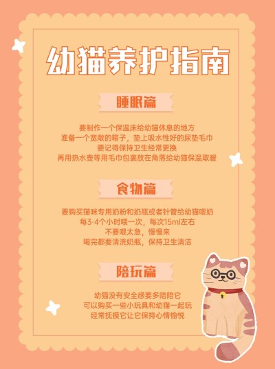 宠物养护指南小红书配图