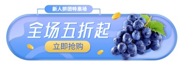 电商食品生鲜会员日小程序商城新人活动胶囊banner