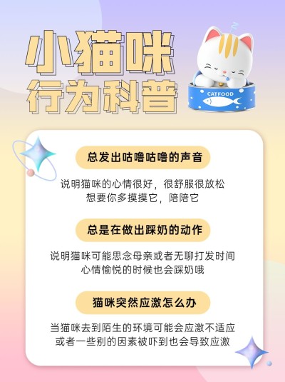 手帐风萌宠攻略小红书配图