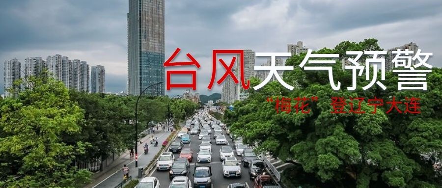 台风预警信号公众号首图