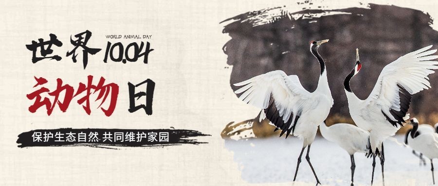 世界动物日保护动物公益爱心首图