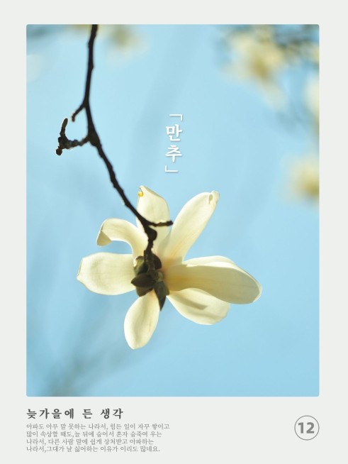 风景拍立得花朵生活分享记录模板预览效果