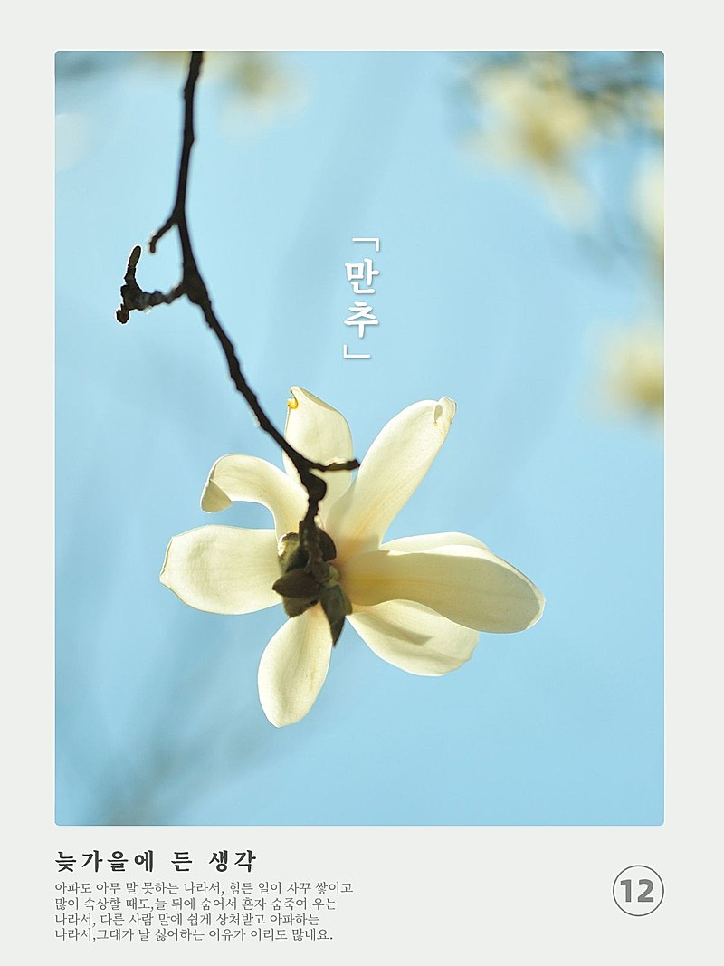 风景拍立得花朵生活分享记录模板