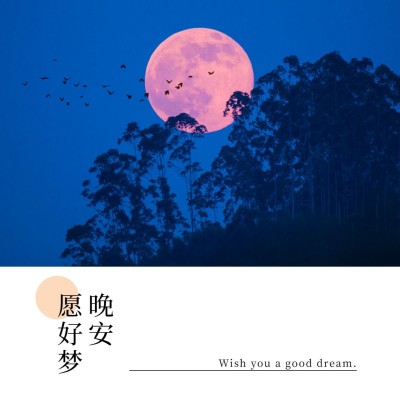 晚安愿好梦方形海报