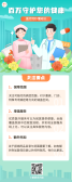 模板缩略图