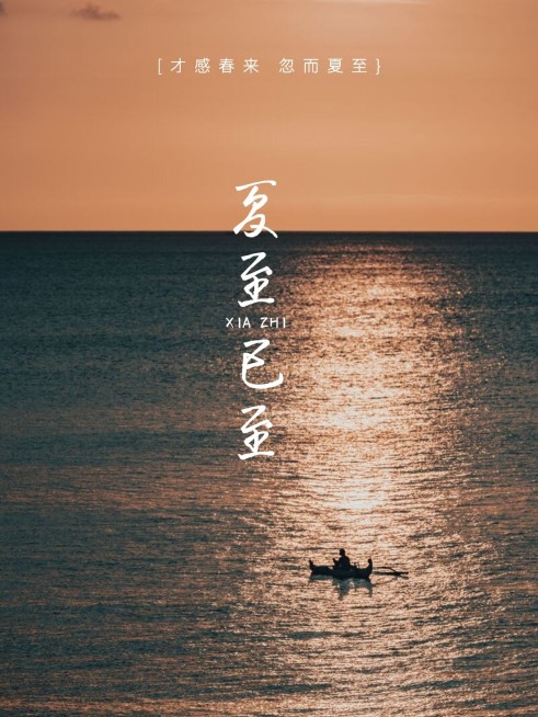 夏至节气晒照简约风plog模板预览效果