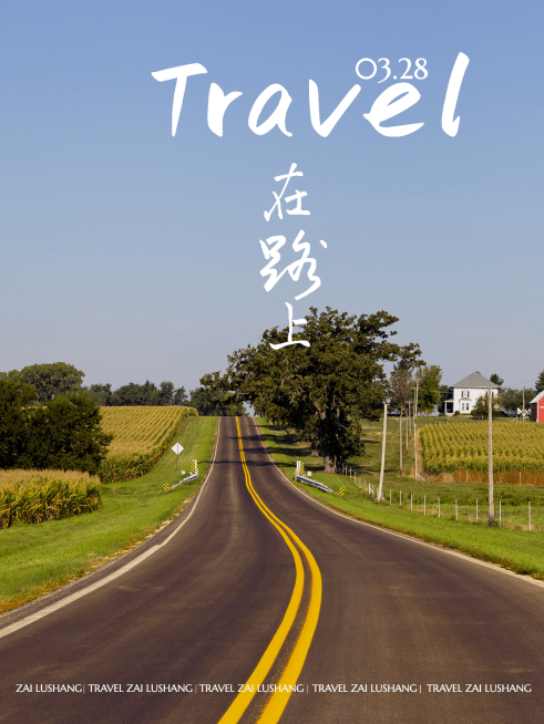 杂志海报随拍街景杂志风plog模板预览效果