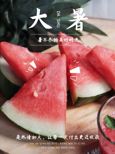 夏日节气大暑美食简约风plog模板