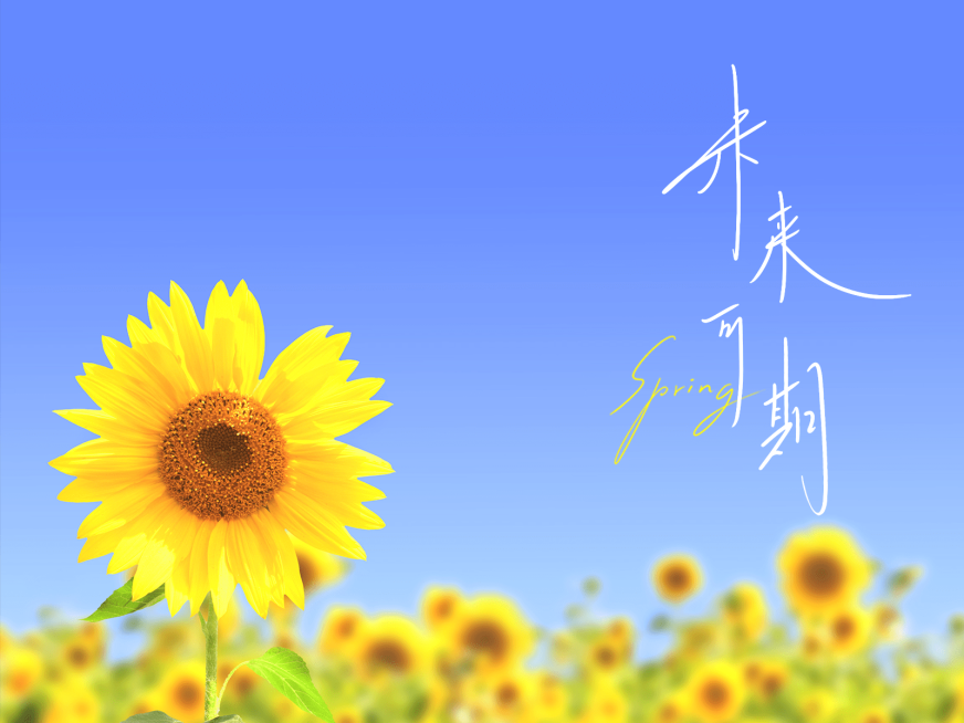 天空/云朵风景照简约风plog模板预览效果