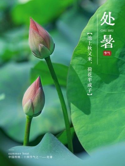 秋日节气处暑风景简约风plog模板