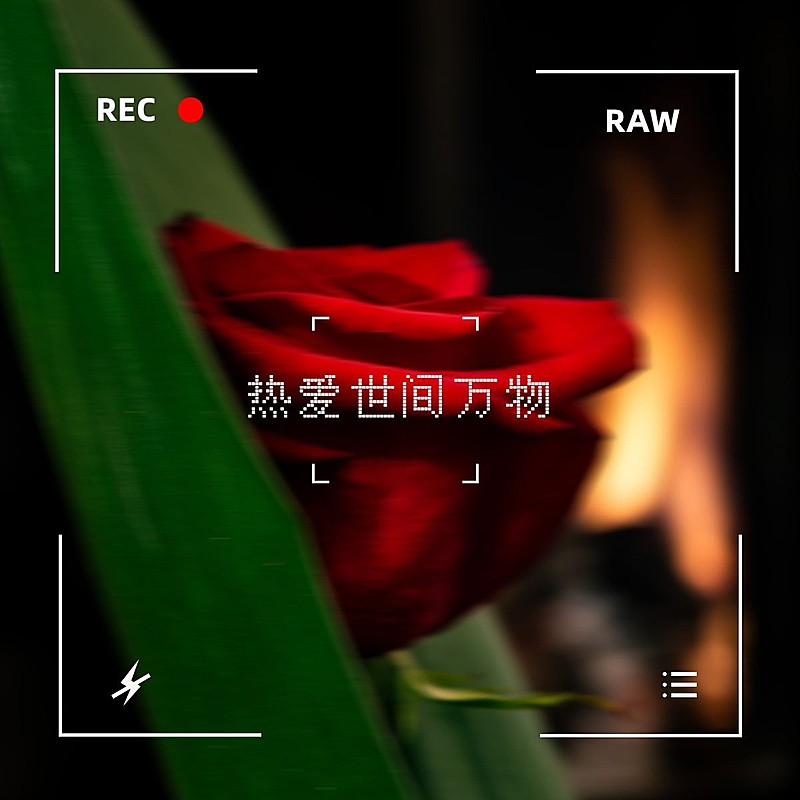 日常晒物相机模拟像素风plog模板