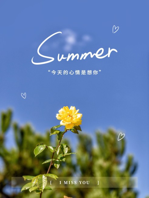 夏天风景晒照简约风plog模板预览效果