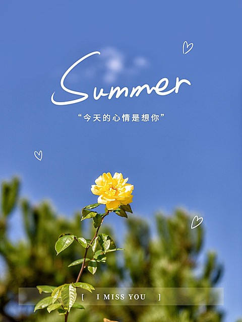 夏天风景晒照简约风plog模板