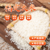 模板缩略图