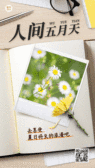 模板缩略图