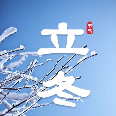 立冬节气实景排版霜落枝头公众号次图