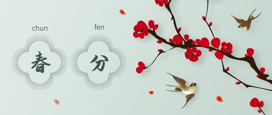 春分简约梅花公众号首图预览效果