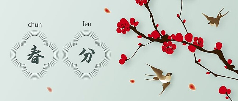春分简约梅花公众号首图
