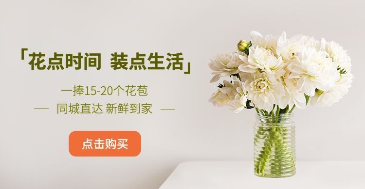日常上新植物献花海报banner预览效果