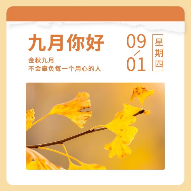 通用9月你好祝福文艺方形海报预览效果
