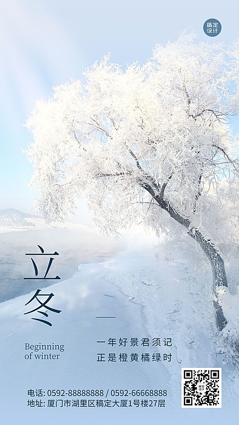 立冬节气树枝落雪实景祝福海报