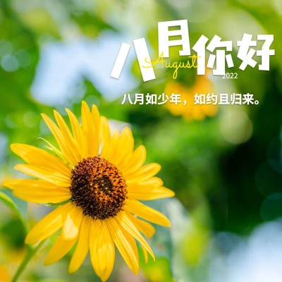通用8月你好祝福清新方形海报