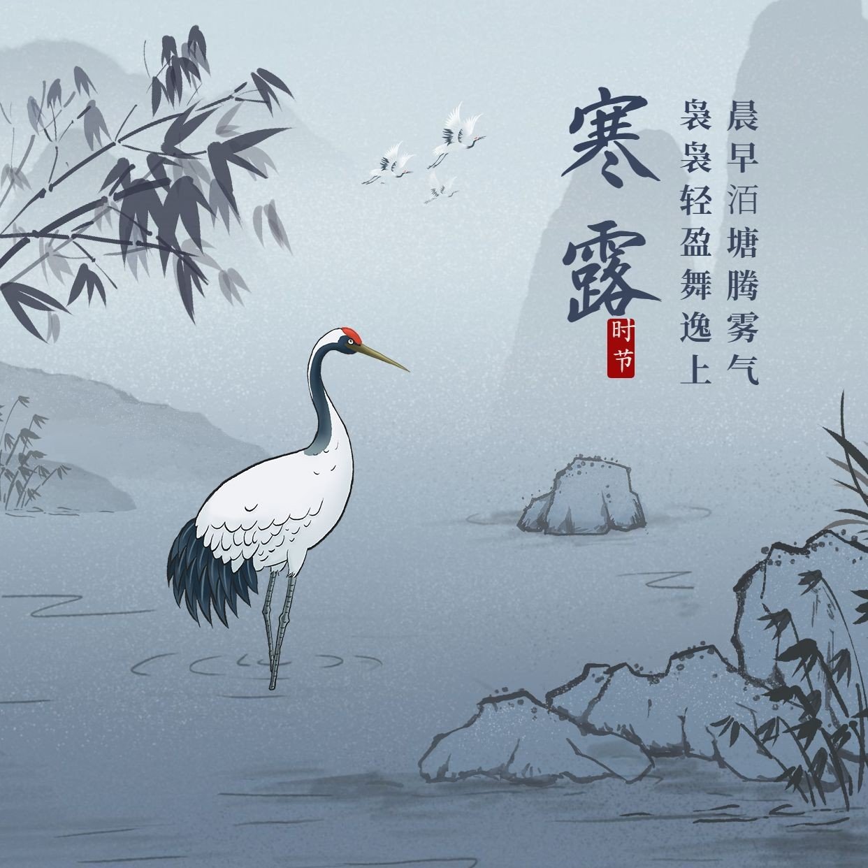 寒露节气祝福白鹭中国水墨方形海报