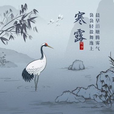 寒露节气祝福白鹭中国水墨方形海报