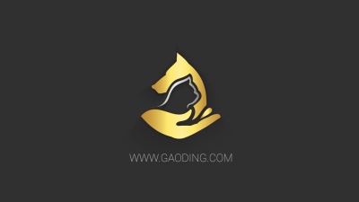 极简风格logo动画黑色版AE模板