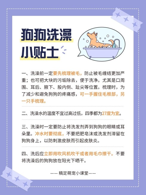 宠物知识科普小红书配图预览效果