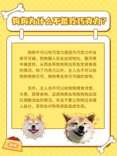 宠物知识科普小红书配图