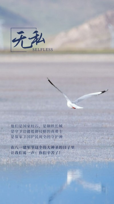 八一建军节致敬军人照片文字排版