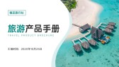 模板缩略图